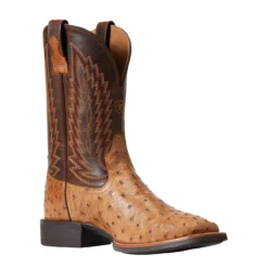 Ariat Men`s Quantum Primo Ranger FQ Ostrich 11` Beam Brown Top Square Toe Boots -Nrs World 10040281 3