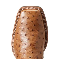 Ariat Men`s Quantum Primo Ranger FQ Ostrich 11` Beam Brown Top Square Toe Boots -Nrs World 10040281 4