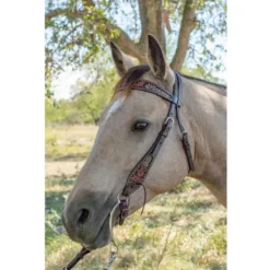 Circle Y Saddlery Dark Flash Arizona Flower Browband Headstall 8 Circle Y Saddlery Dark Flash Arizona Flower Browband Headstall -Nrs World 1008 12 SC 3