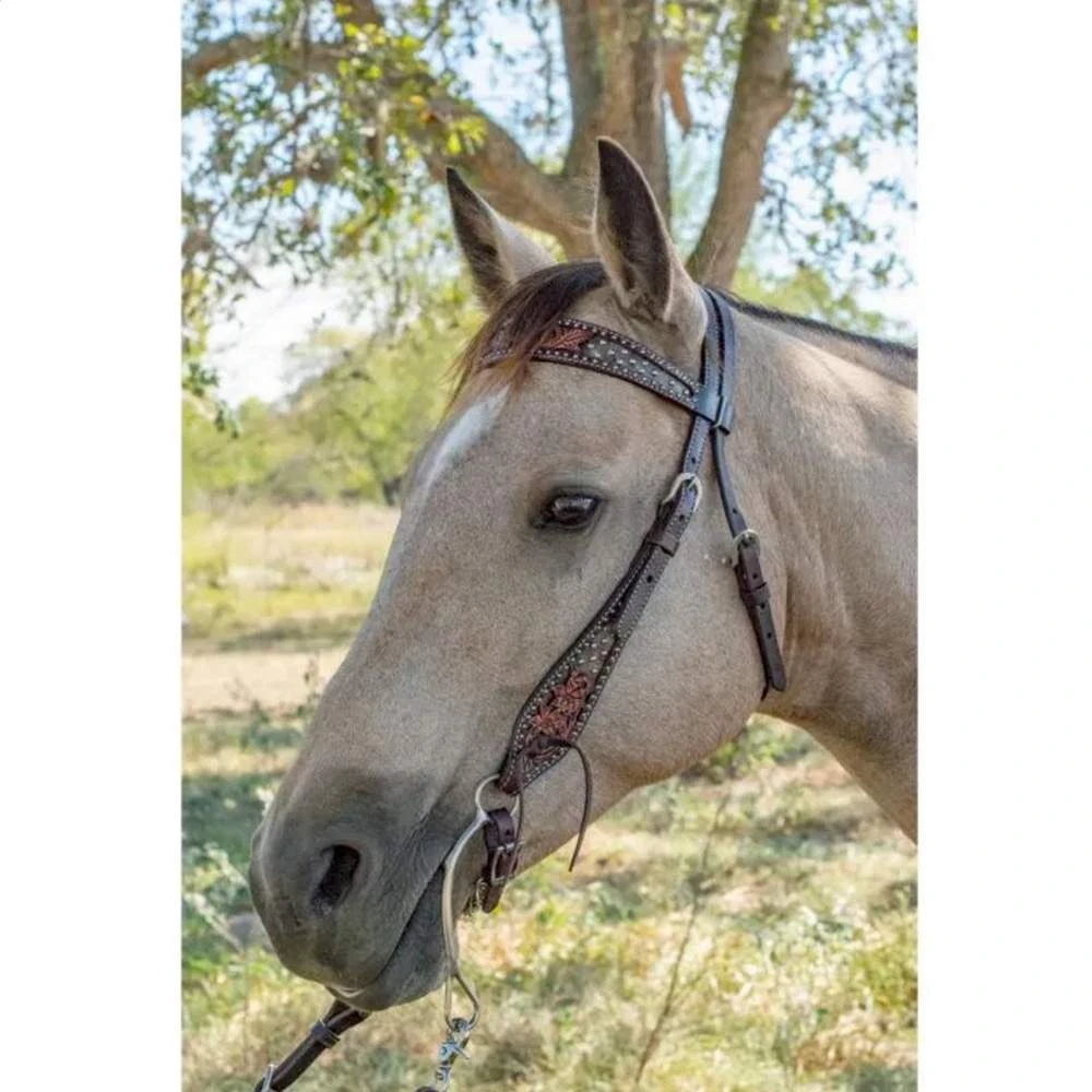 Circle Y Saddlery Dark Flash Arizona Flower Browband Headstall 4 Circle Y Saddlery Dark Flash Arizona Flower Browband Headstall - Image 4