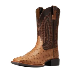 Nrs World 36 Ariat Men`s Quantum Primo Ranger FQ Ostrich 11` Beam Brown Top Square Toe Boots