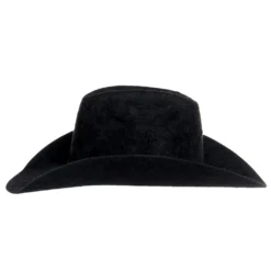 American Hats 20X Grizzly Black 4 1/4in. Brim Felt Cowboy Hat -Nrs World 20XGBLKS42 2