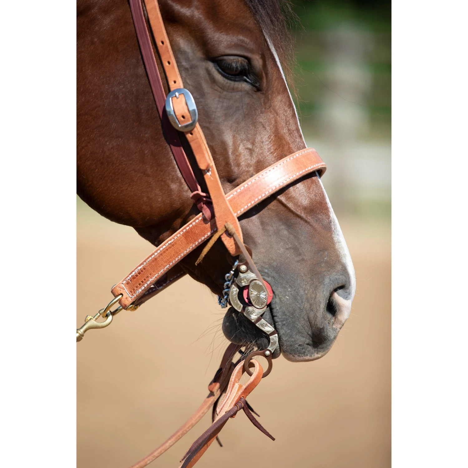 Blessing Bits Large Port 6 Inch Chain Bit 2 Blessing Bits Large Port 6 Inch Chain Bit - Image 2