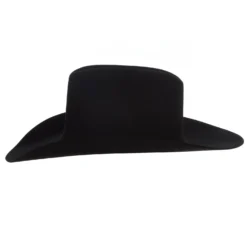 Resistol 20X Black Gold Precreased 4 1/4in. Brim Felt Cowboy Hat -Nrs World RFBKGD 72427771 04