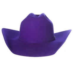 Rodeo King 7X Purple Self Band 4 1/4in. Brim Open Crown Felt Cowboy Hat -Nrs World RK457 4
