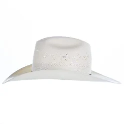 Resistol 20X Latigo 4 1/4 Inch Brim RB Profile Straw Hat -Nrs World RSLATG RB428173 03